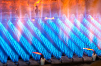 Balmerino gas fired boilers